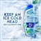 Head &amp; Shoulders Sub-Zero Freshness Anti-Dandruff Shampoo for All Hair Types 600ml