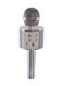 Generic Ws-858 Wireless Karaoke Microphone Ws-858-Silver Silver/White
