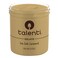 Talenti Gelato Ice Cream Sea Salt Caramel 473ml