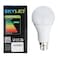 Sky Led Eco Bulb B22 12W