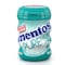Mentos Pure Fresh Sugar Free Chewing Gum Wintergreen Flavour 56g