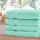 Comfy Set Of 4 Pure Cotton Hand Towel - Lime