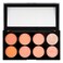 Revolution Ultra Blush Professional Palette Hot Spice