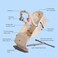 TEKNUM Baby Bouncer / Recliner Seat w/ Grab Toys - Ivory