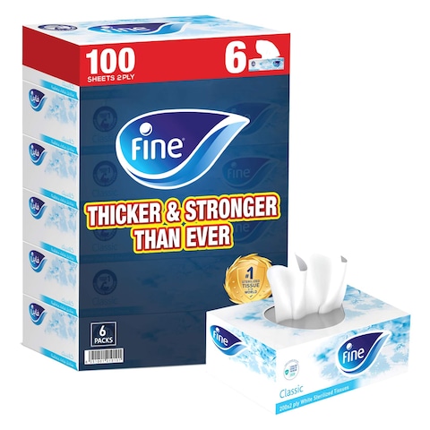 Fine Facial Tissue 100 Sheets X 2 Ply Pack Of 6