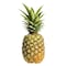 Big Pineapple