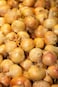 Yellow Onion