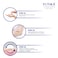 Yutika SPF 30 PA+++ UVA And UVB Protection Sunscreen Lotion 300ml