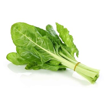 Swiss Chard (Selek)