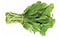 Watercress - 50 gram