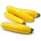 Courgette Yellow Holland