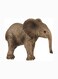 Schleich - African Elephant Calf Toy Figure