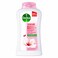 Dettol Skincare Antibacterial Body Wash 250 ml