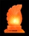 Geohoney Himalayan Salt Lamp - Leaf