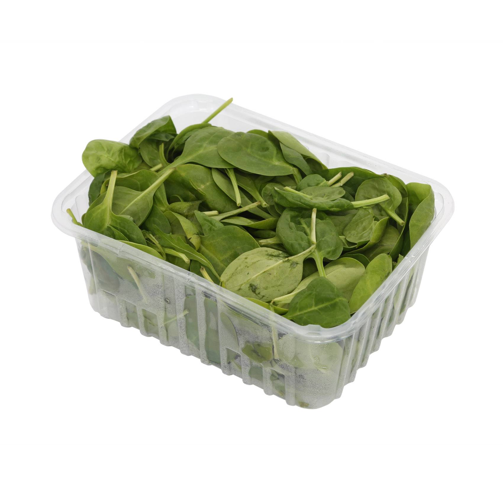 Baby Spinach Import Pack Of 125g