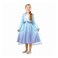 Rubies Frozen 2 Elsa Travel Dress