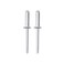 Aluminum Rivets (4.8 mm, Pack of 50)