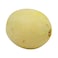 Honey Dew Melon