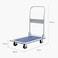 Abbasali Heavy Duty Folding Trolley Cart (150Kg )