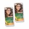 Garnier Color Natural 6 Dark Blonde 2 pieces