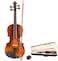Mike Music 4/4 Violin Set, Acoustic Violin with Hard Case, Bow and Rosin for Beginner Vilions