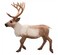Toy School - Reindeer Figurine