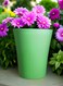Vsell Stylish Green Plastic Flower Pot - Durable and Lightweight-Small