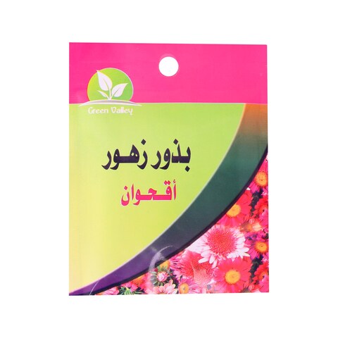 جرين فالي بذور زهور أقحوان - 5 جرام