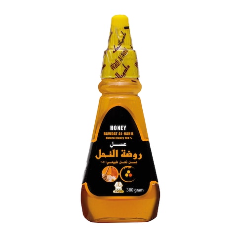 Buy Wadi Alnahil Rawdat Alnahil Honey 380g in Saudi Arabia