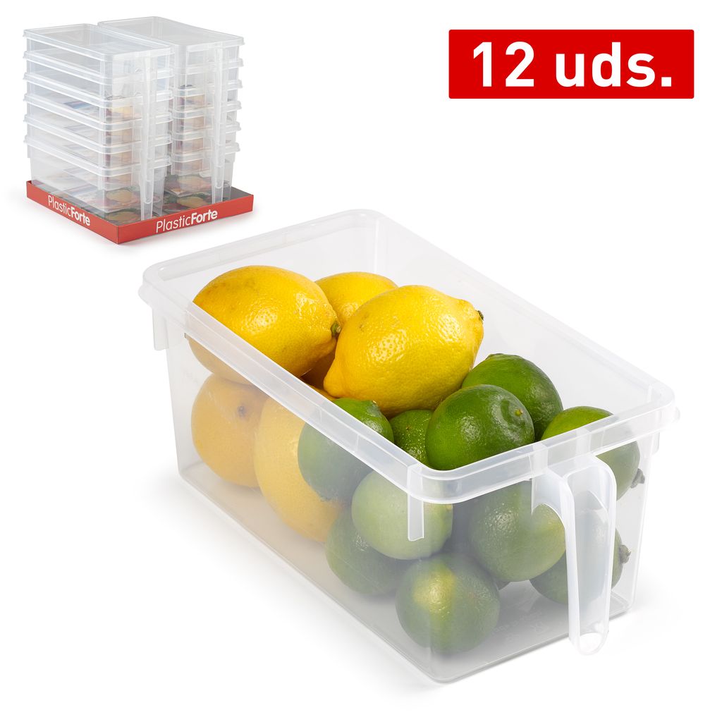 PLASTIC FORTE  Fridge Organizer &amp; Drawer with Handle, Semi-Transparent