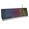 Genesis Gaming Keyboard RHOD 300 RGB LED Light Black
