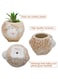 Generic 6 Pcs Cute Succulent Planter, Succulent Pots With Drainage Hole Flower Plant Pot Cartoon Ceramic Tiny Pot For Indoor Mini Flower Planters Cactus Container Set Of 6