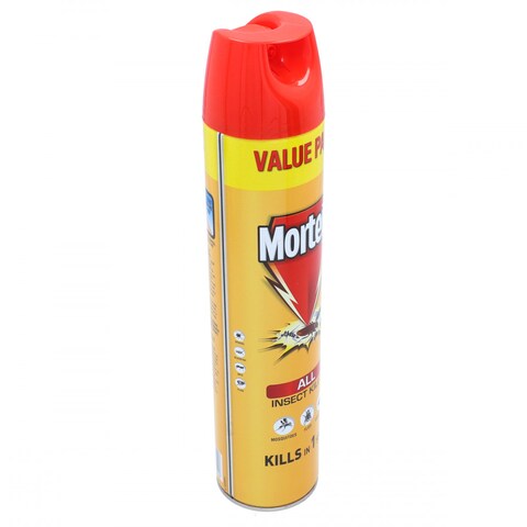 Mortein Value Pack All Insect Killler 550ml