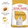 Breed Health Nutrition Maltese Adult 1.5 KG