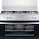 Frigidaire Freestanding Gas Oven FNGE90JGRSO Silver