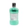 Listerine Mouthwash Mint 500ml