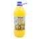 Highlands Cocopine Cordial 2L