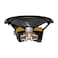 Pioneer TS-W32S4 12" Champion Series Single Coil Subwoofer 1500W