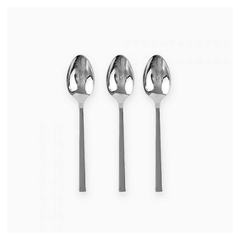 Zinnia Slender Stainless Steel Spoon Set - 3 pieces