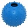 Dog Toy Blue Ball