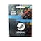 Steam Wallet Gift Card 200 QAT