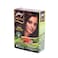 Godrej Abha Henna Natural Brown 9 Herbs 60g