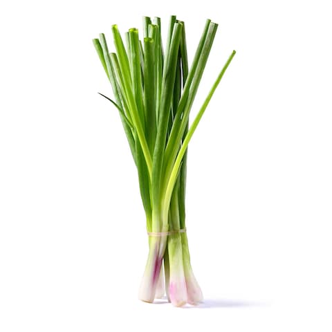 Buy Fresh green Onion Local in Saudi Arabia