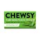 Chewsy Spearmint Chewing Gum 15gr