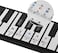 Piano Stickers for Keys For 37/49/54/61/88 keys keyboard the best choice of Piano beginner learner(colorful)