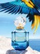 Roberto Cavalli Azzurro Eau De Parfum For Women - 50ml