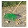 Trapp Plastic Lawn And Leaf Grass Broom With Handle Green