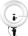 Generic Tik Tok Selfi Lite 14 Inch Diameter Dimmable Continuous Round Ring Light, For Beauty Facial Shoot, Light Stand Tripod, Cell Phone Spring Clip Holder, Camera Adapter, Photo Studio, Agg2418V3