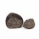 Black Winter Truffle (Fresh)