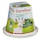 Carrefour Goat Cheese 45%Fat 150G